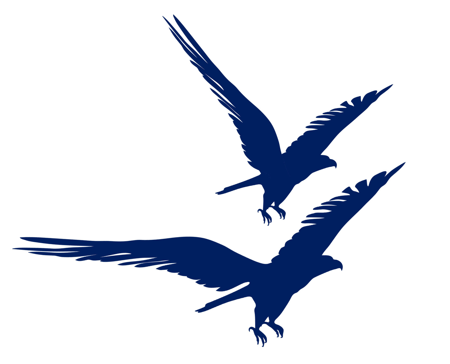 Welkom bij High Flying Birds 